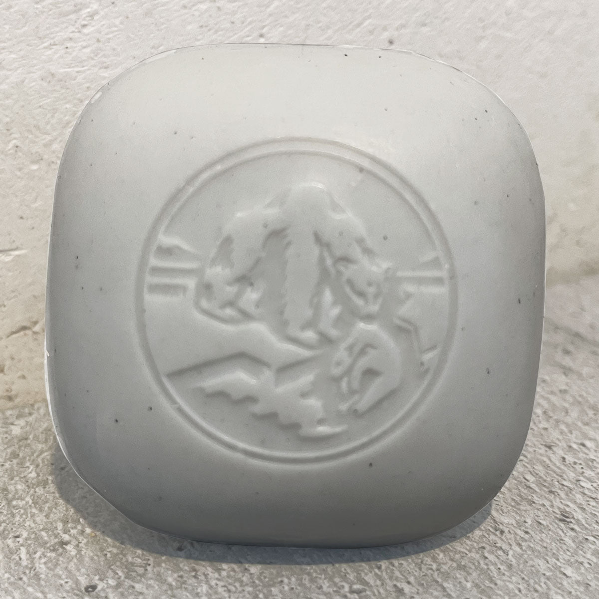 FESTES SHAMPOO #02 : 95g